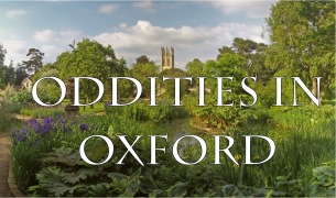 Oddities in Oxford Logo- BotGar